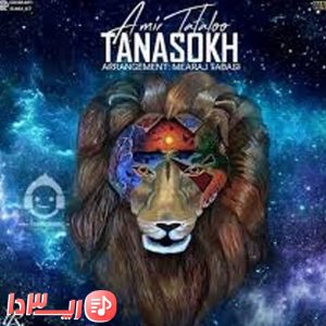 آهنگ تناسخ از امیر تتلو