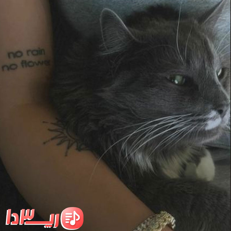 دانلود آهنگ دروغ بگو از پوبون