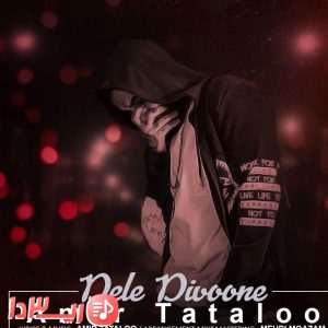 آهنگ دل دیوونه از امیر تتلو