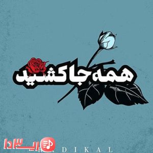 آهنگ همه جا کشید شاهین نجفی