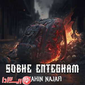 اهنگ صبح انتقام شاهین نجفی