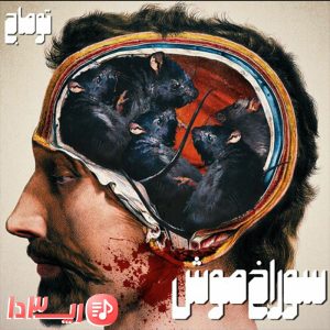 آهنگ سوراخ موش توماج صالحی

