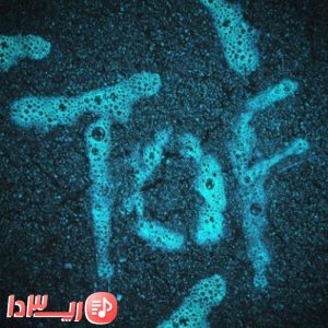 دانلود آهنگ تف از ممزی فیت سیا