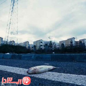  آهنگ چشم در برابر چشم از گاد پوری