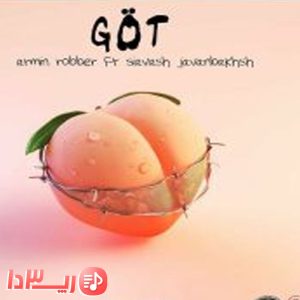دانلود آهنگ گوت از آرمین رابر و سیاوش جوانبخش